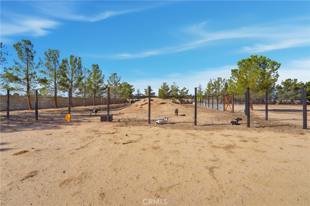 MLS #DW25257434 image #57