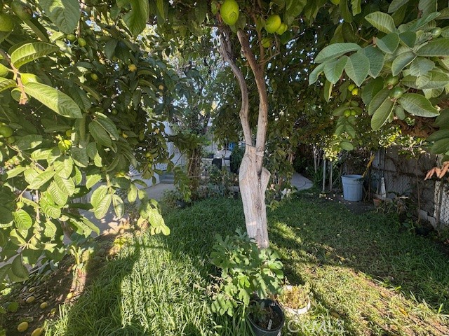 MLS #DW25257863 image #1