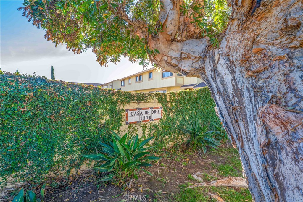 MLS #DW25258205 image #33