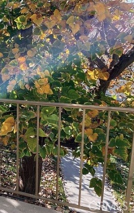 MLS #DW25265945 image #10