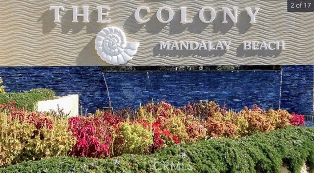 MLS #DW25265945 image #15