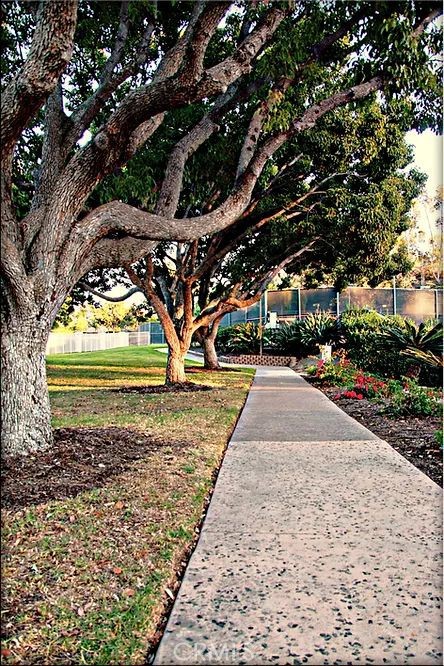 MLS #DW25269354 image #38