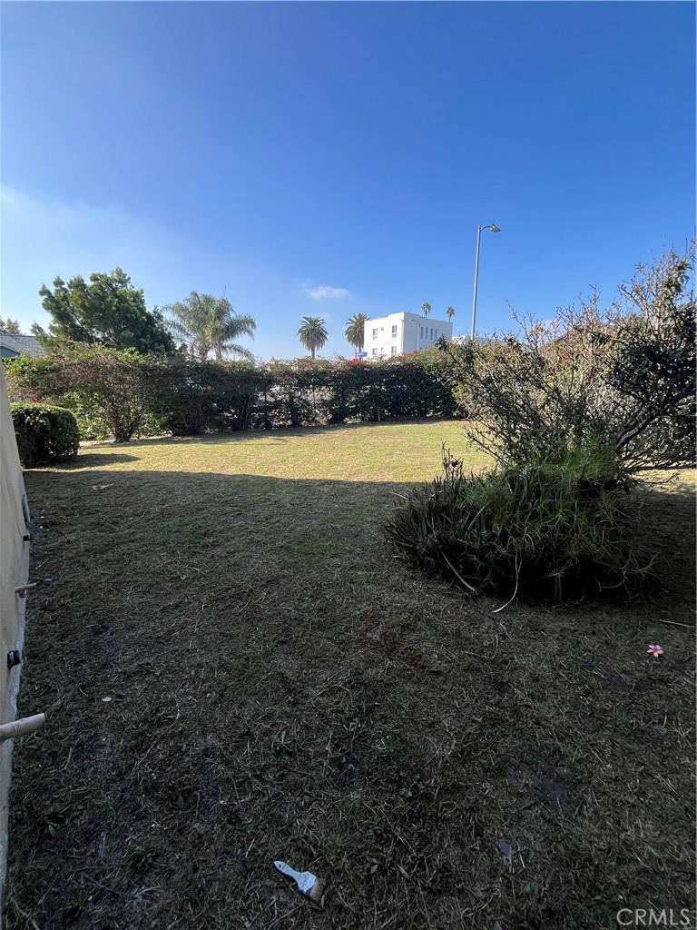 MLS #DW25271826 image #5