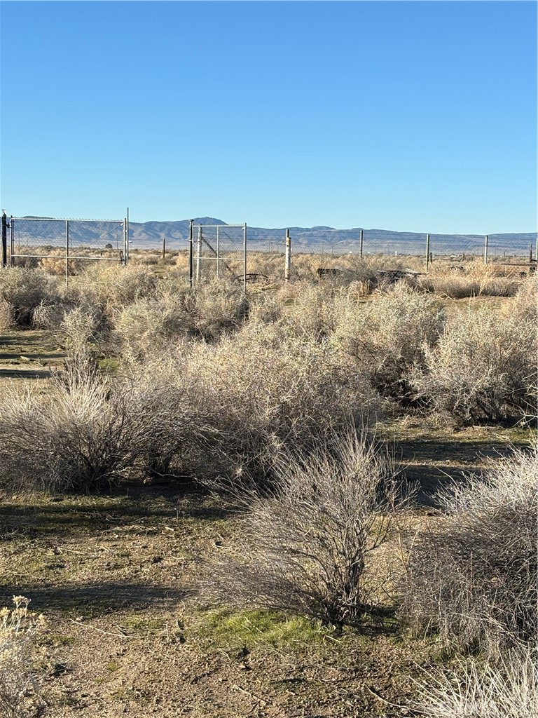 MLS #DW25272900 image #18