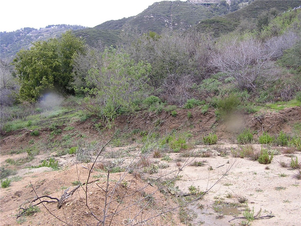 MLS #EV24052962 image #1