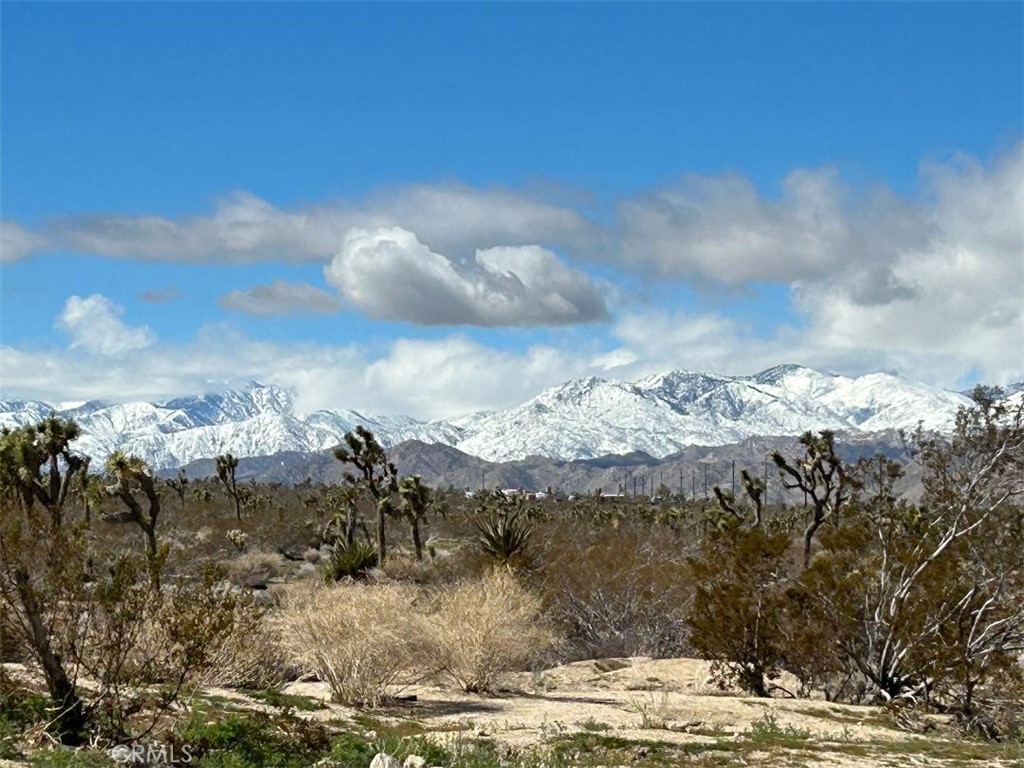 MLS #EV24096027 image #7