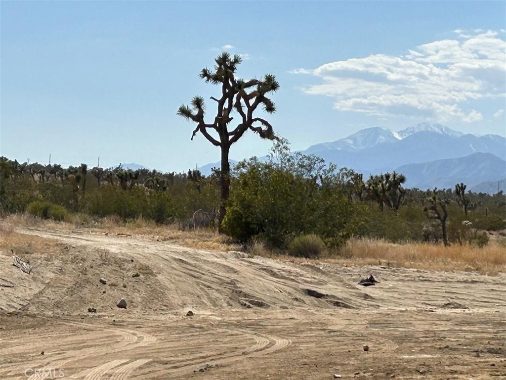 MLS #EV24096027 image #8