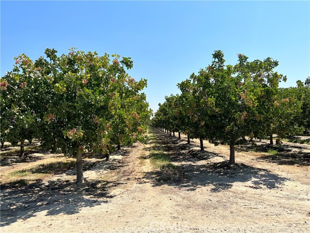 MLS #FR25081489 image #1