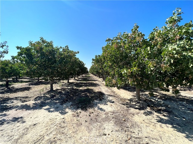 MLS #FR25081489 image #2