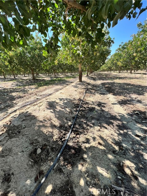 MLS #FR25081489 image #3