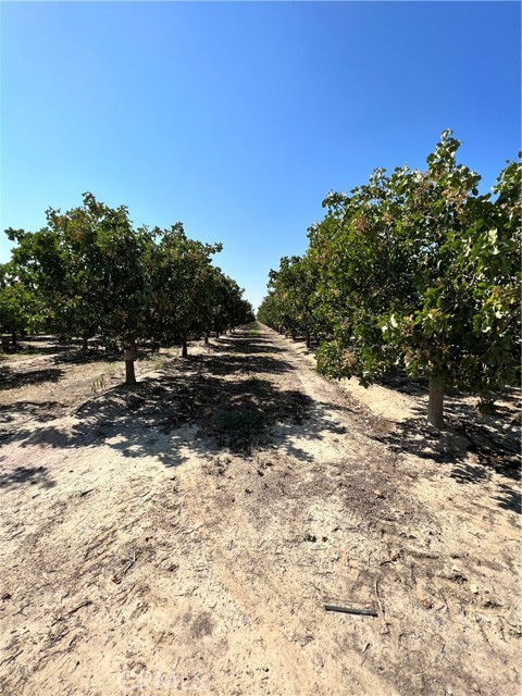 MLS #FR25081489 image #4