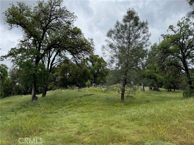 MLS #FR25091323 image #1