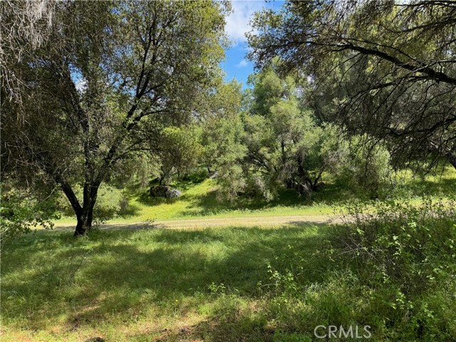 MLS #FR25091323 image #10