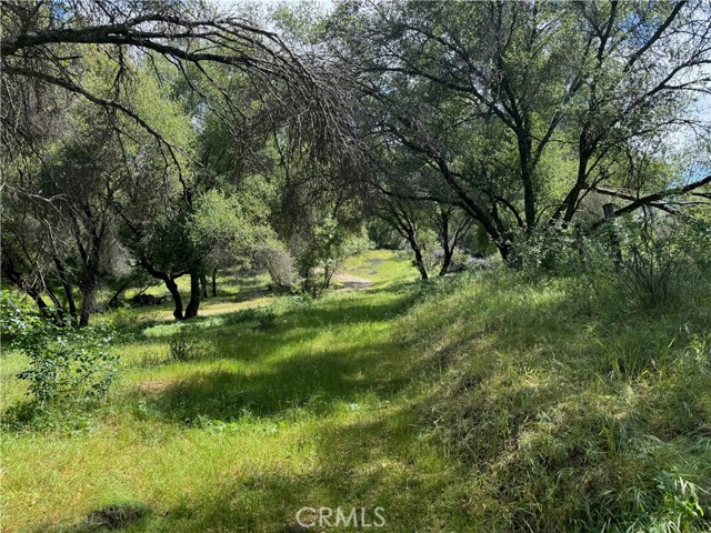 MLS #FR25091323 image #11