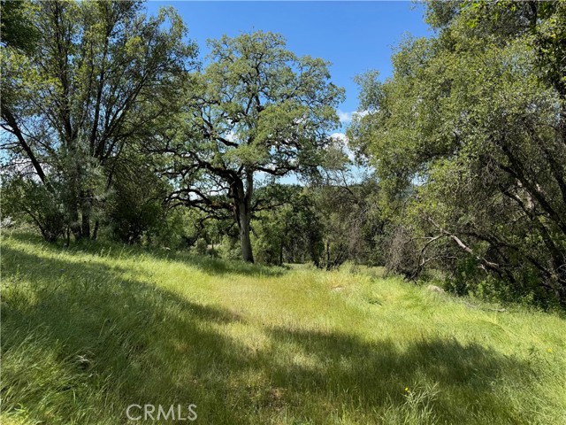 MLS #FR25091323 image #12