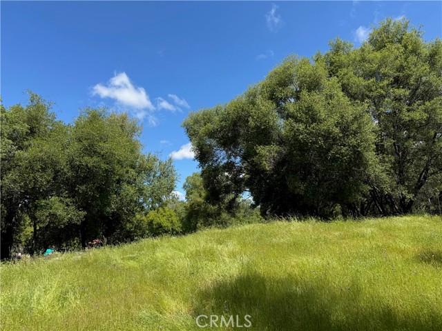 MLS #FR25091323 image #6