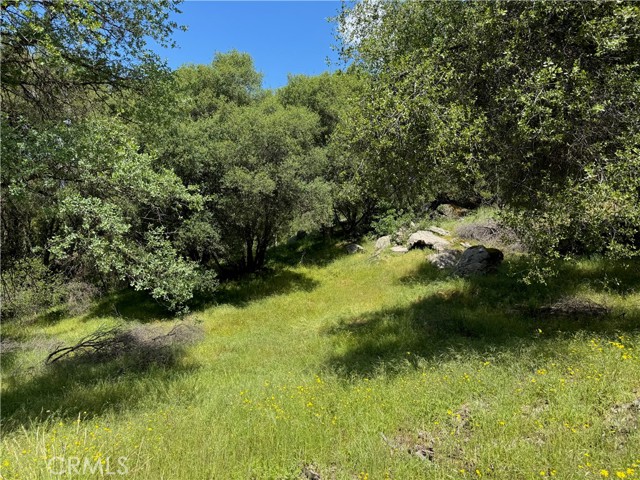 MLS #FR25091323 image #7