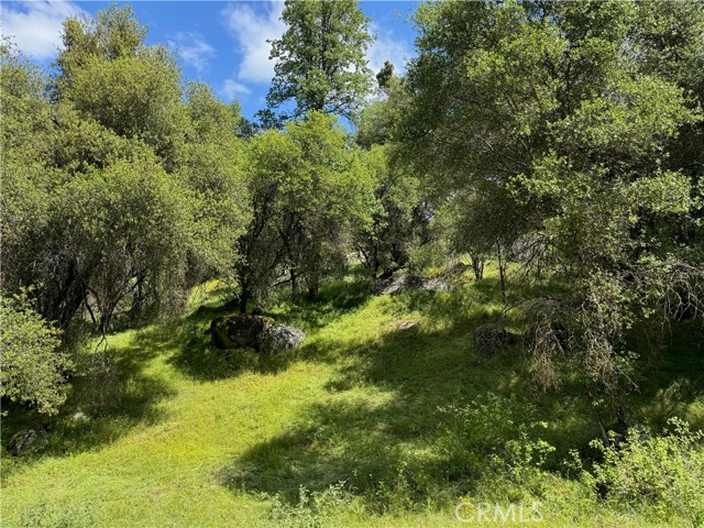 MLS #FR25091323 image #8