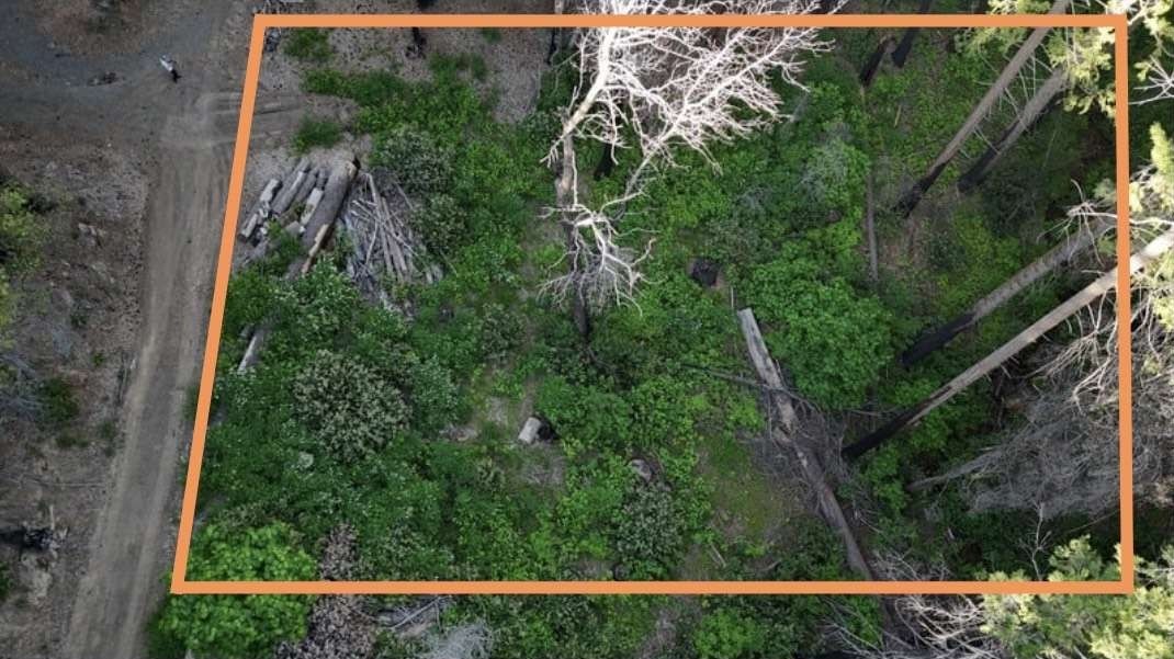 MLS #FR25112612 image #2