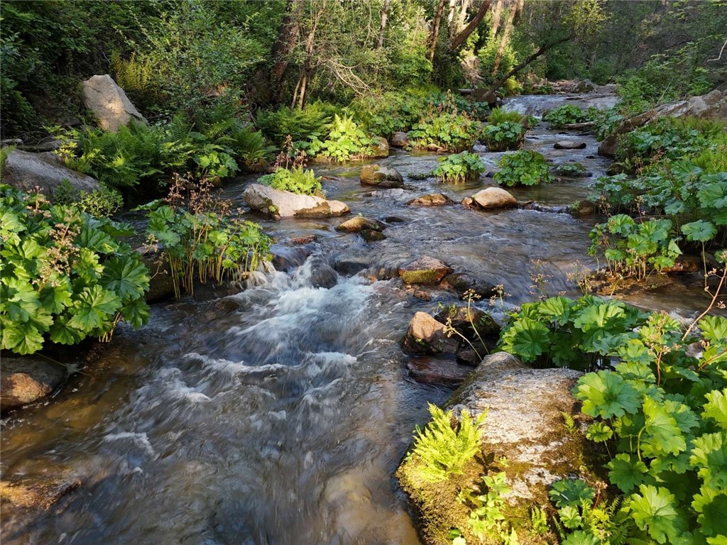 MLS #FR25112612 image #8