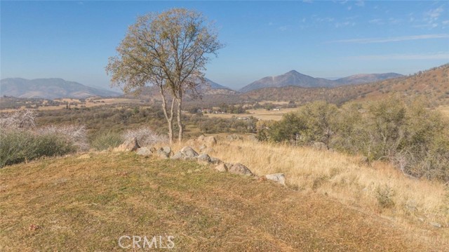 MLS #FR25119690 image #17