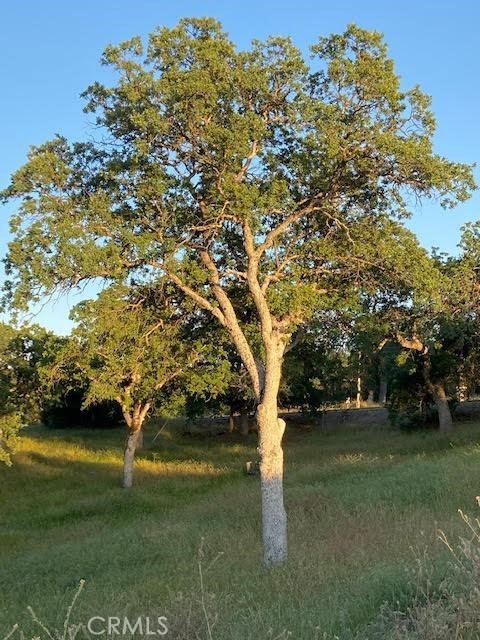 MLS #FR25119690 image #22