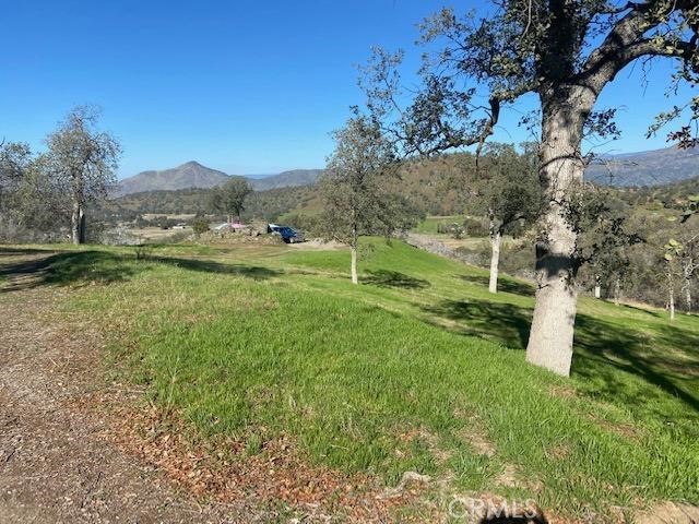 MLS #FR25119690 image #24