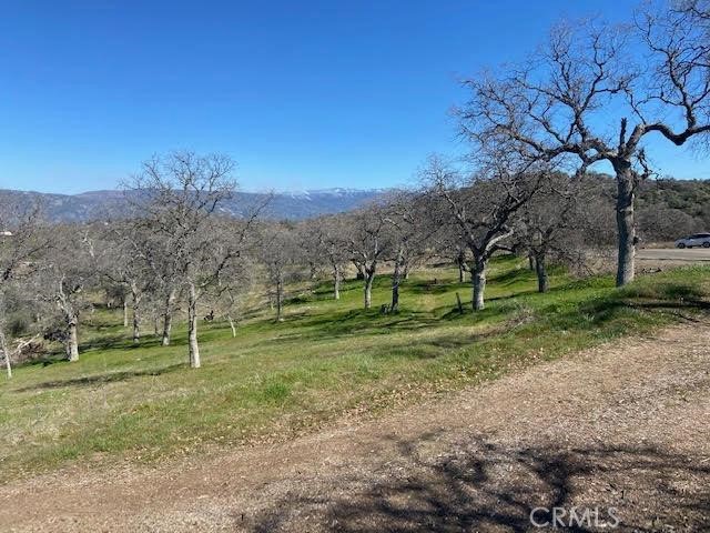 MLS #FR25119690 image #5