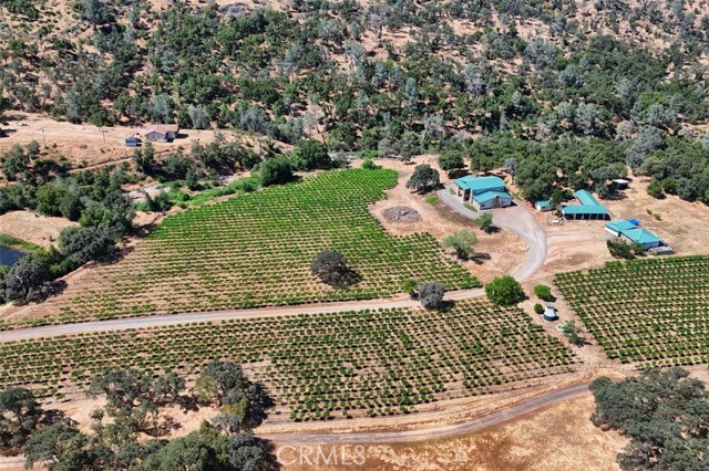 MLS #FR25134105 image #52