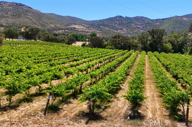 MLS #FR25134105 image #53