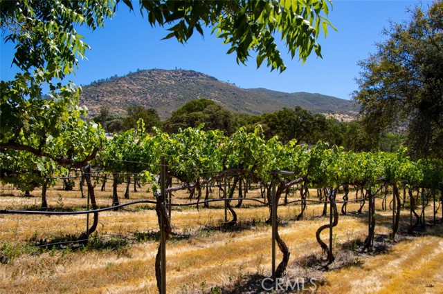 MLS #FR25134105 image #54