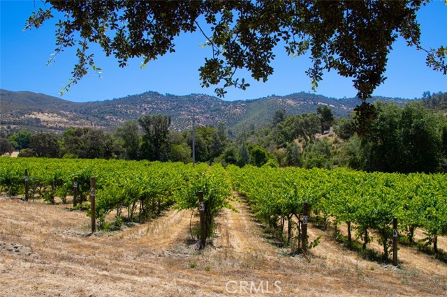 MLS #FR25134105 image #56