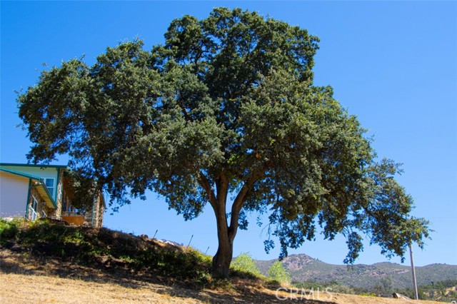 MLS #FR25134105 image #62