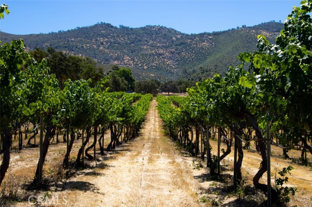 MLS #FR25134105 image #66