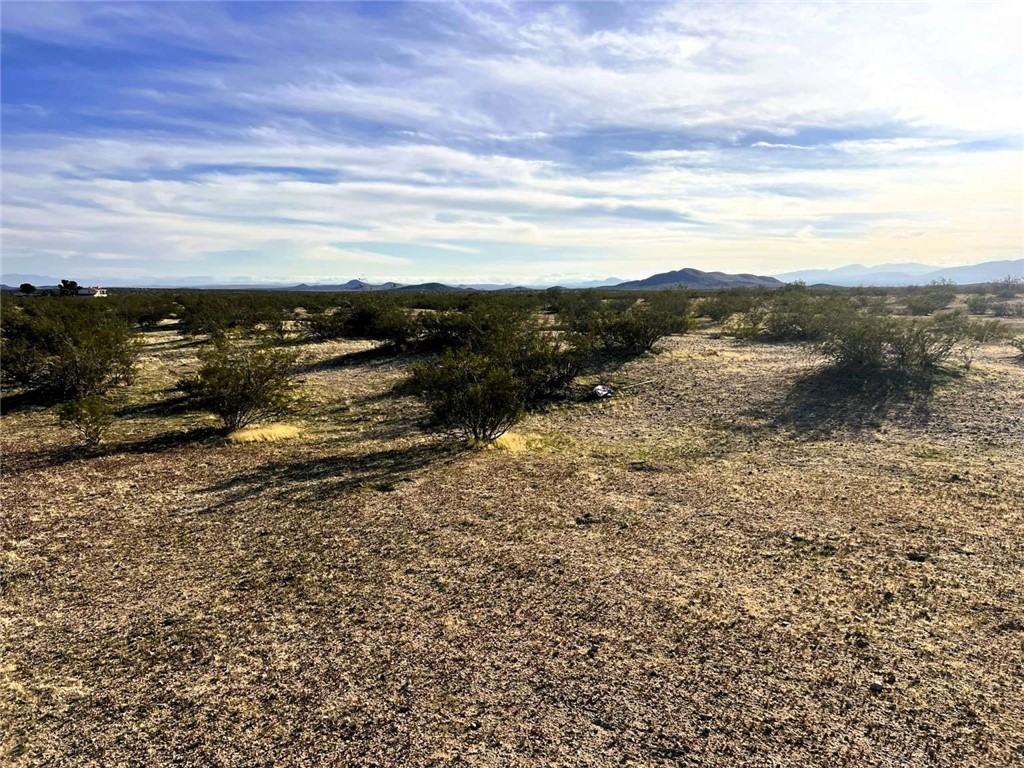 MLS #FR25137804 image #10