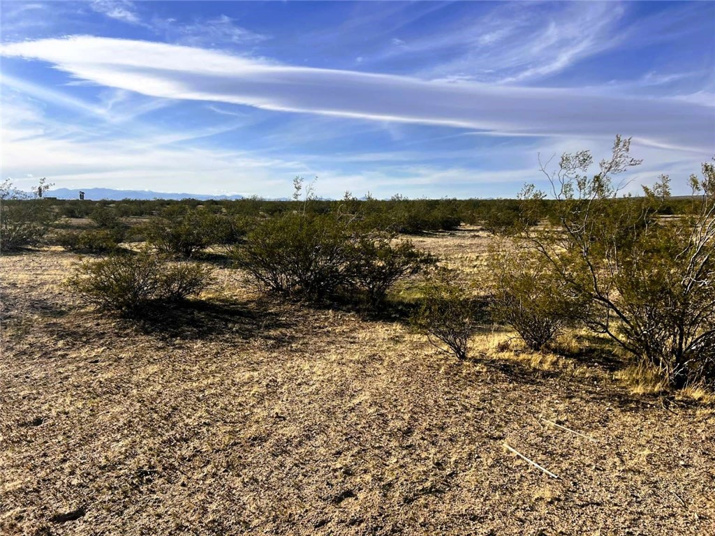 MLS #FR25137804 image #11