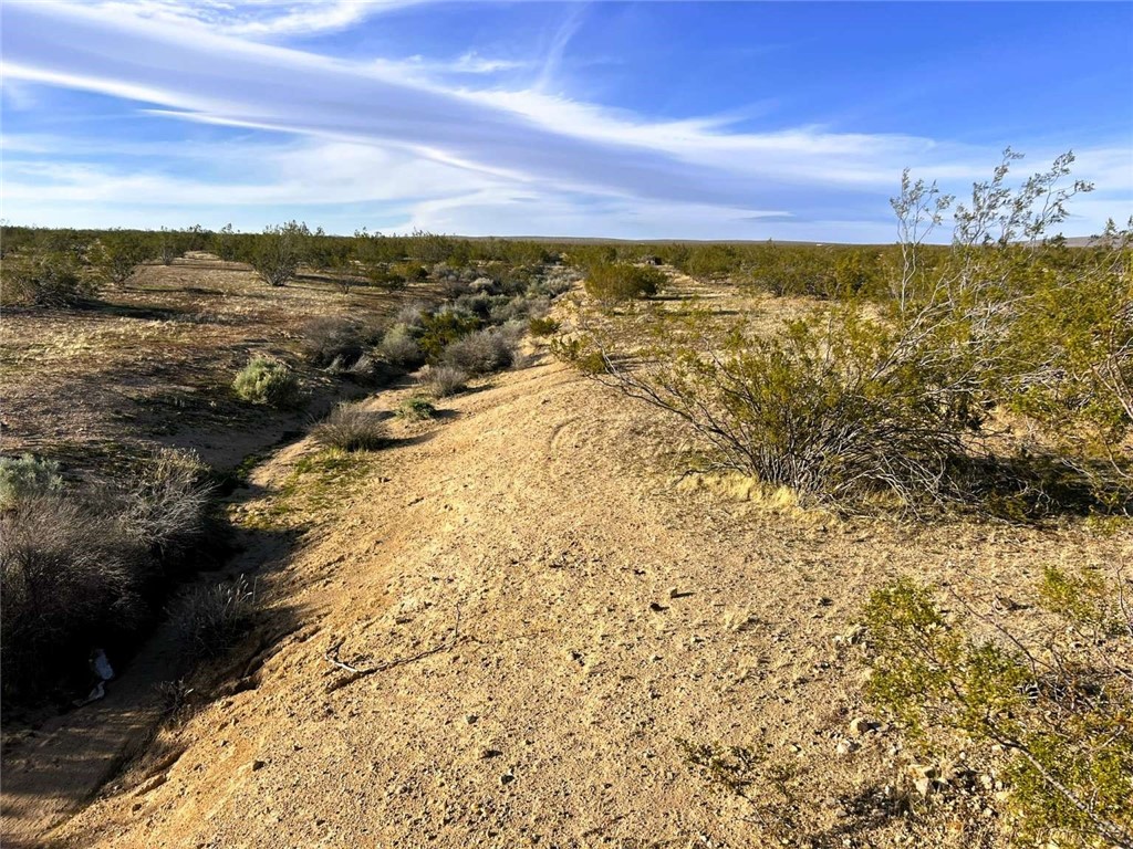 MLS #FR25137804 image #12