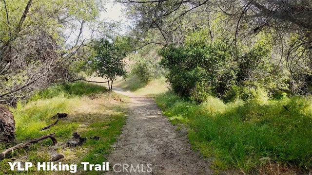 MLS #FR25164282 image #42