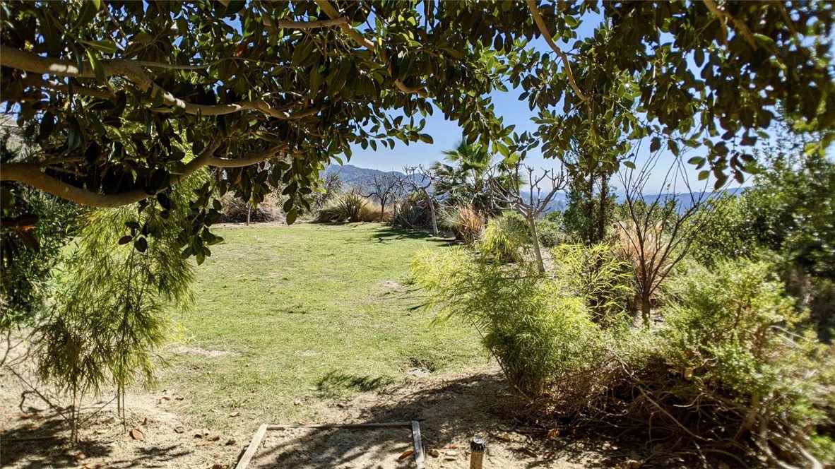 MLS #FR25170206 image #64