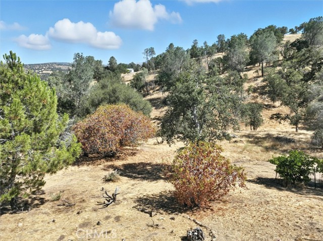 MLS #FR25171462 image #36