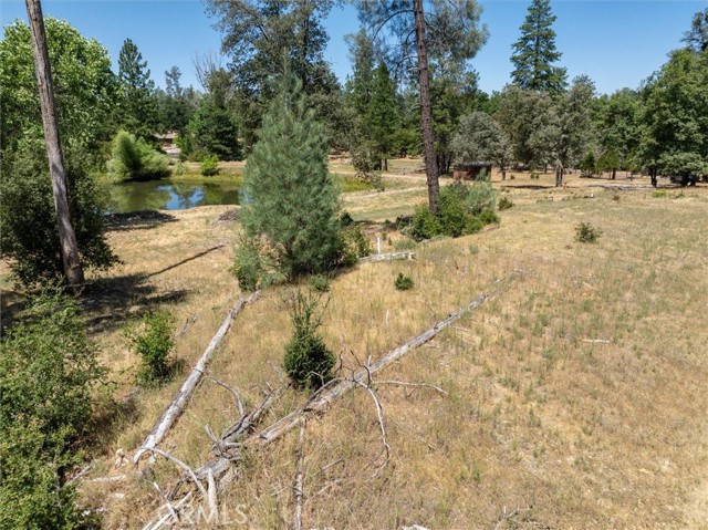 MLS #FR25172164 image #10