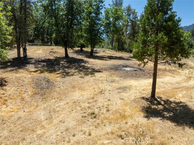 MLS #FR25172164 image #13