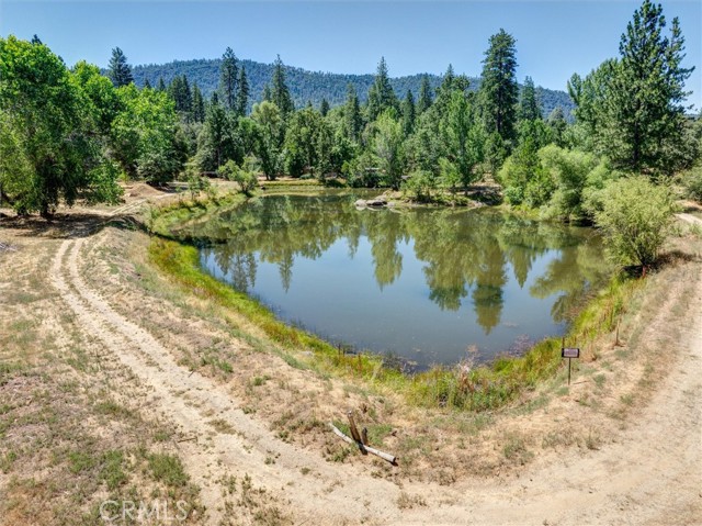 MLS #FR25172164 image #8