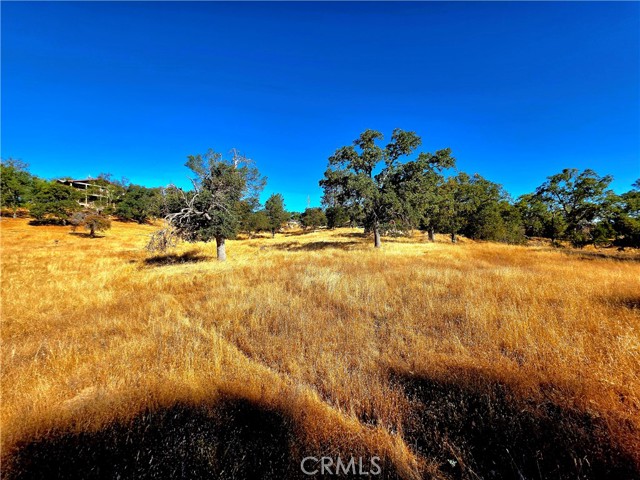 MLS #FR25183342 image #0