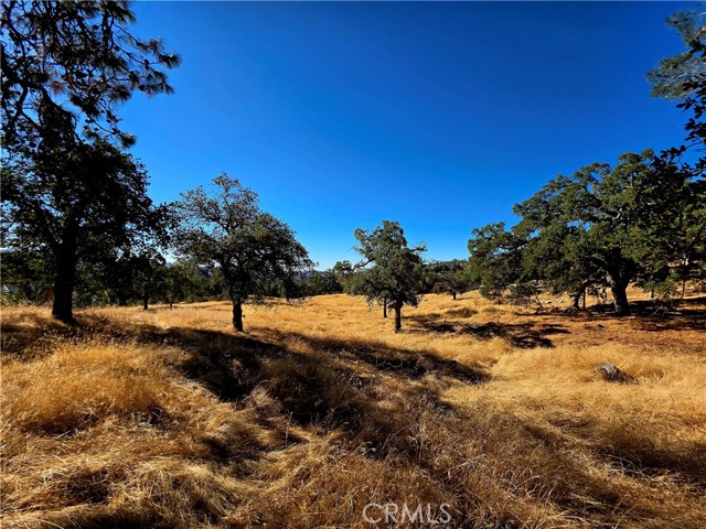 MLS #FR25183342 image #1