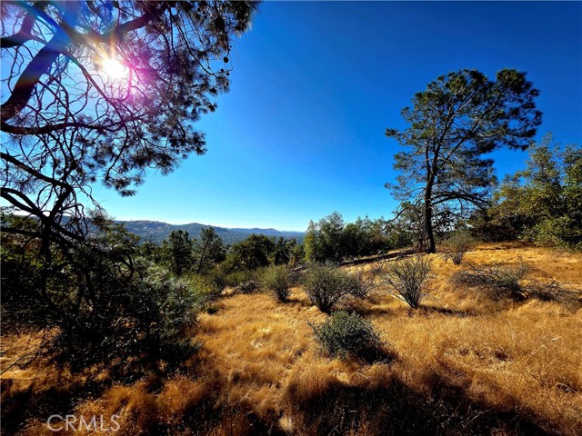 MLS #FR25183342 image #10