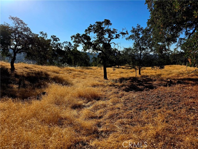 MLS #FR25183342 image #2