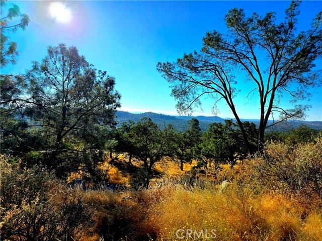 MLS #FR25183342 image #4