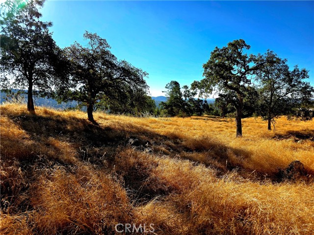 MLS #FR25183342 image #5