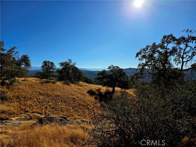 MLS #FR25183342 image #6